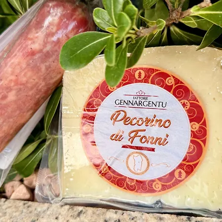 Luxurious And Posh In Historical Centre דירה אולביה